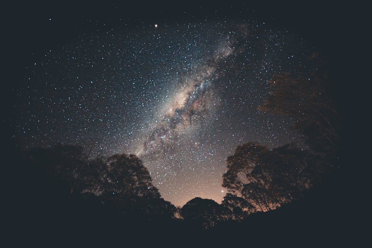 Mastering the First Impression: Your intriguing post title goes here Stunning view of the Milky Way galaxy over silhouetted trees in a tranquil night setting.